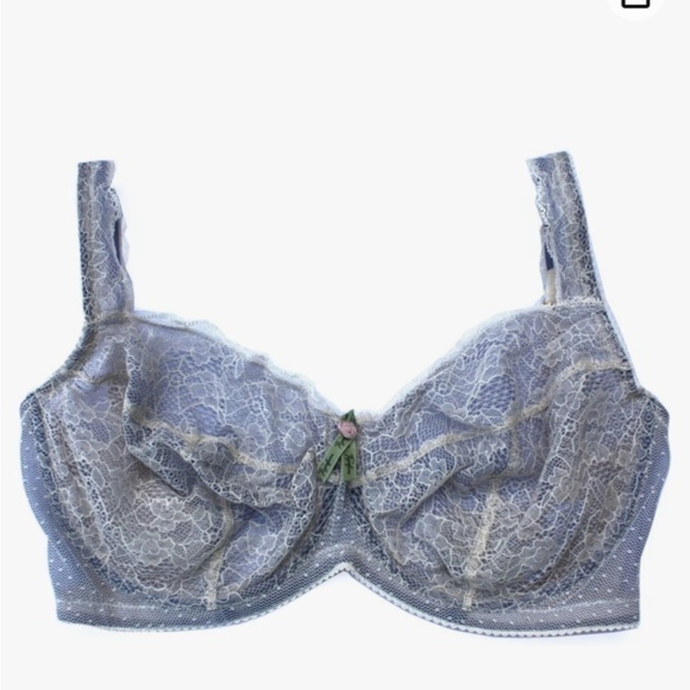 NWT Fayreform Vitality Sheer Lace Bra in Cream Lined with Gray/Purple UK 30F